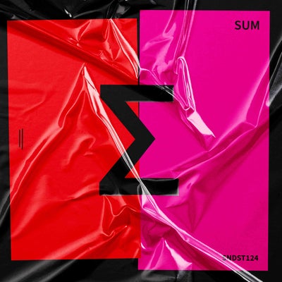 VA – SUM 13 SNDST124