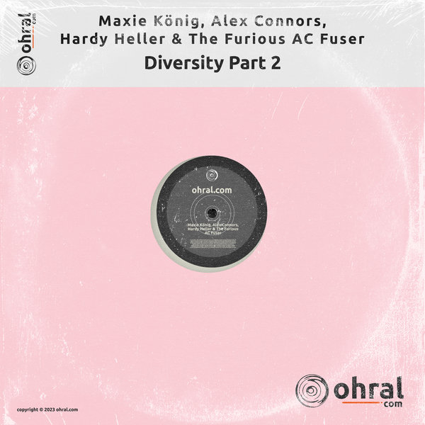 VA – Diversity EP Part 2 OHR078