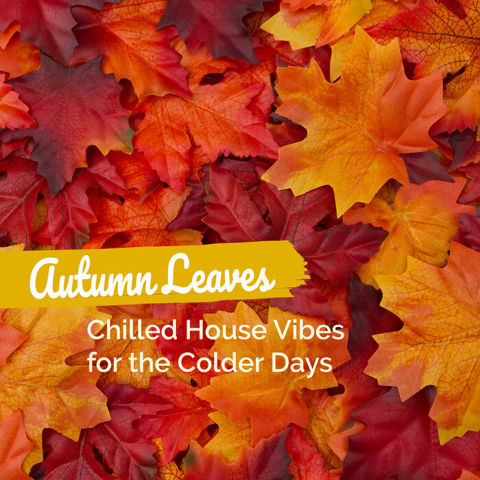 VA – Autumn Leaves_ Chilled House Vibes for the Colder Days [4067248527313]