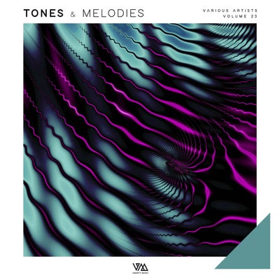 VA – Tones & Melodies Vol 23 [VMCOMP1180]