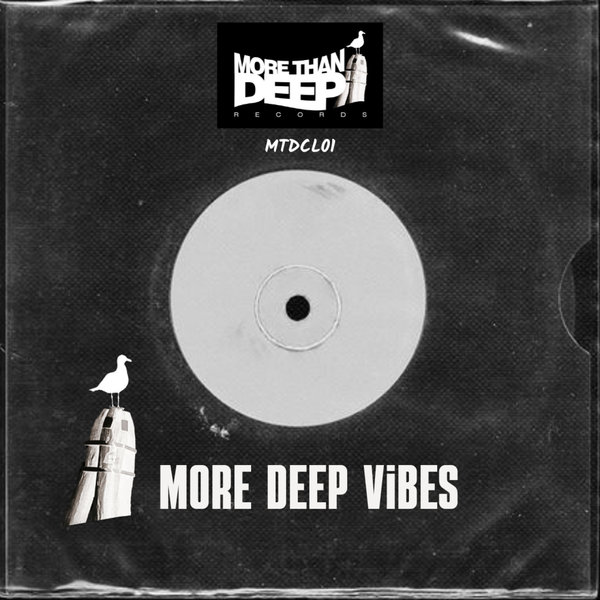 VA – More Deep Vibes [MTDCL01]