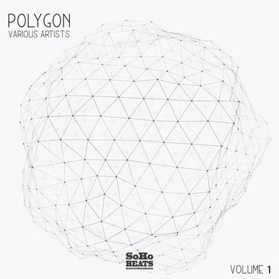 VA – Polygon, Vol. 1 SBRP1