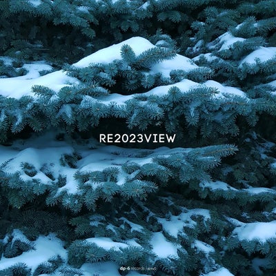 VA – Re2023view [DRRV5]