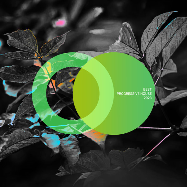 VA – Best Progressive House 2023 [AVE211]