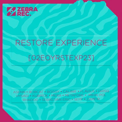 VA – Restore Experience 1848947