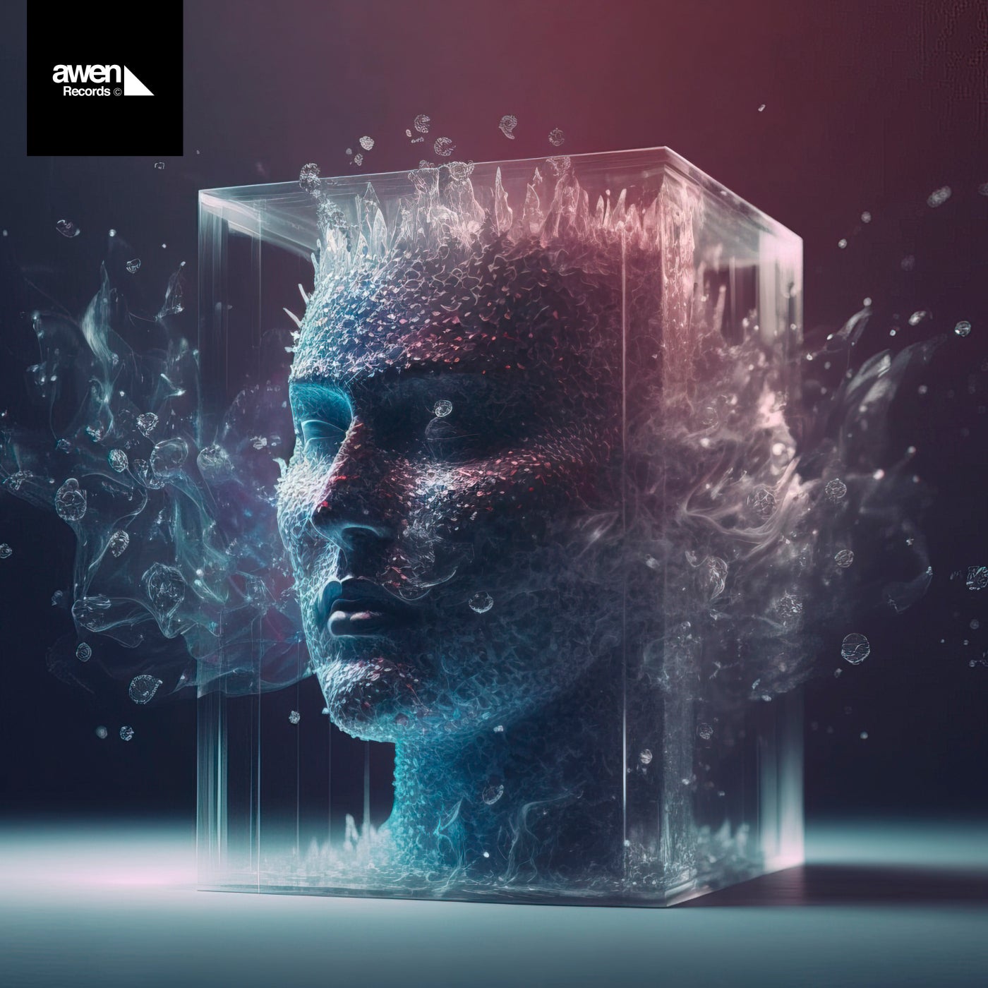 VA – Compilation [AWEN204]