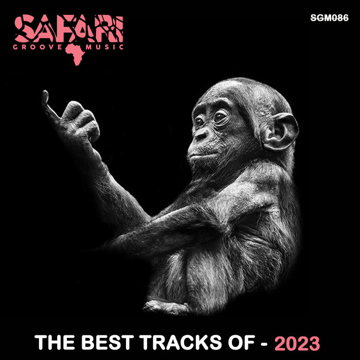 VA – THE BEST TRACKS OF 2023 SGM089 Safari Groove Music