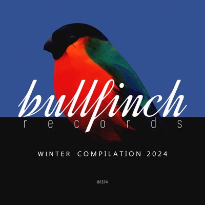VA – Bullfinch Winter 2024 Compilation BF374