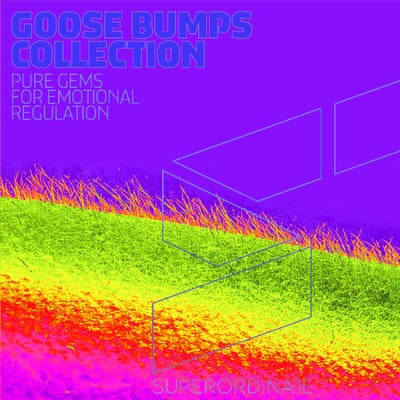VA – Goose Bumps Collection Vol 11 [SUPER595]