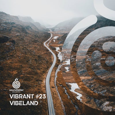 VA – Vibrant Vibeland #23 ST405