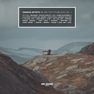 VA – We Are the Future 2024, Vol. 1 3AVLP075