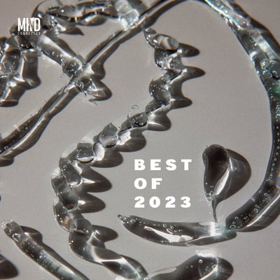 VA – Best of Mind Connector 2023 092