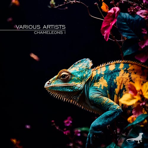 VA – Chameleons I RPT002