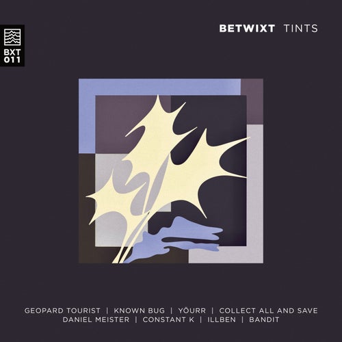 VA – TINTS BXT011