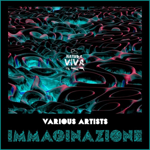 VA – Immaginazione NATVA018 Natura Viva