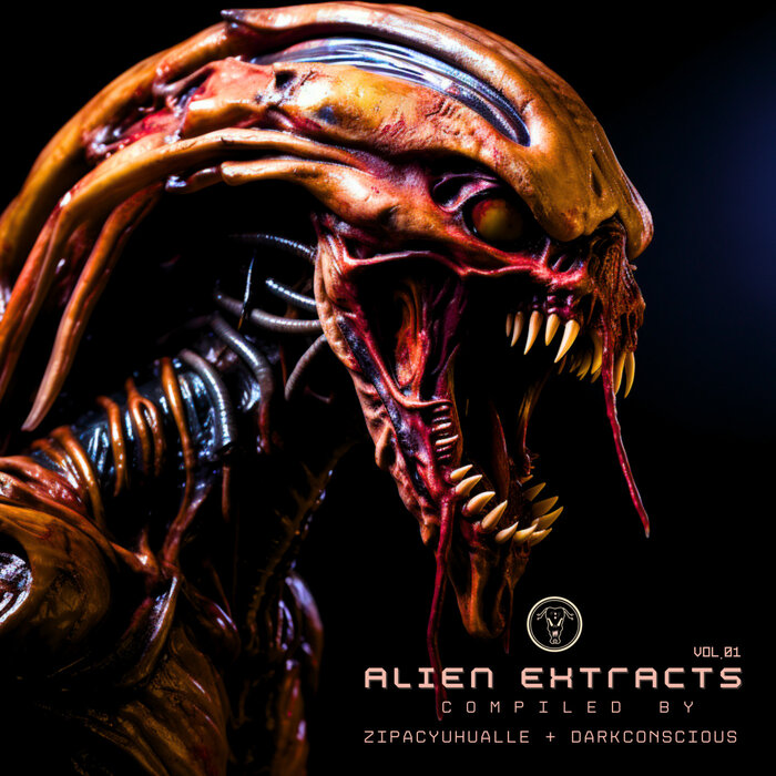 VA – Alien Extracts Vol. 01 DSR001