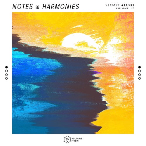 VA – Notes & Harmonies Vol 17 [VOLTCOMP1282]