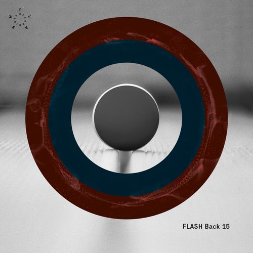 VA – FLASH Back 16 FLASH356