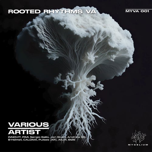 VA – Rooted Rythms VA MYVA001