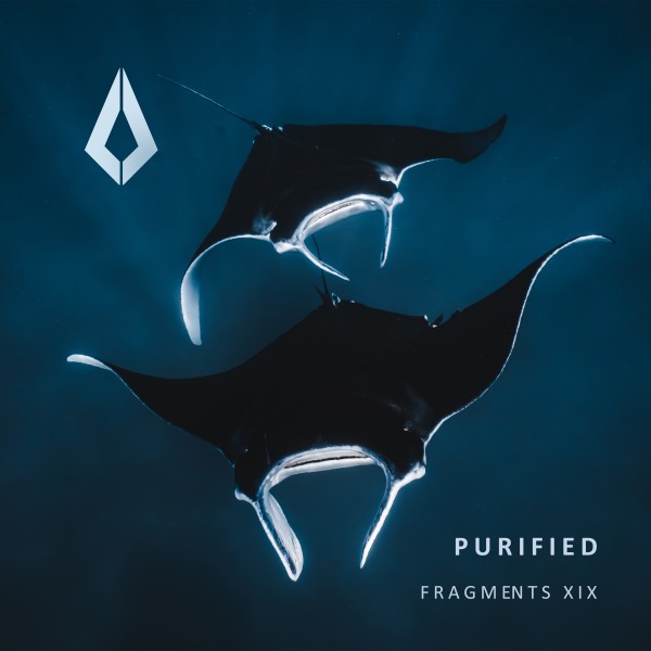VA – Purified Fragments XIX PF0123BP