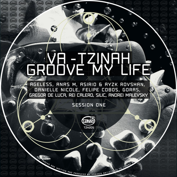 VA – VA – Tzinah Groove My Life TZH205