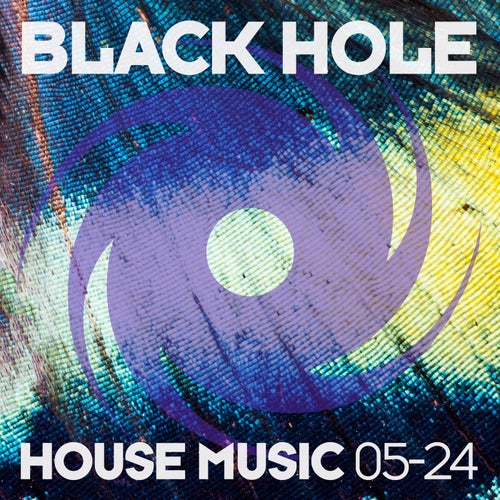 VA – Black Hole House Music 05-24 [Black Hole Recordings]