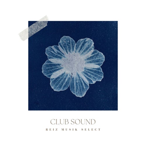 VA – CLUB SOUND RM353