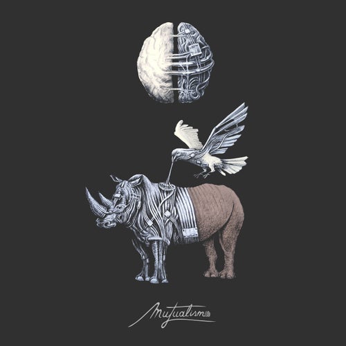 VA – Mutualism 02 SYM008
