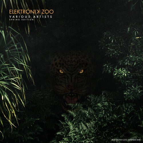 VA – Spring Edition EZOO008