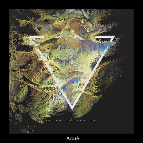 VA – Triangle, Vol. 10 ALULA236