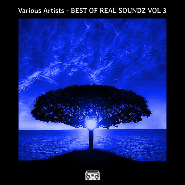 VA – BEST OF REAL SOUNDZ VOL 3 [REALBESTVA003]
