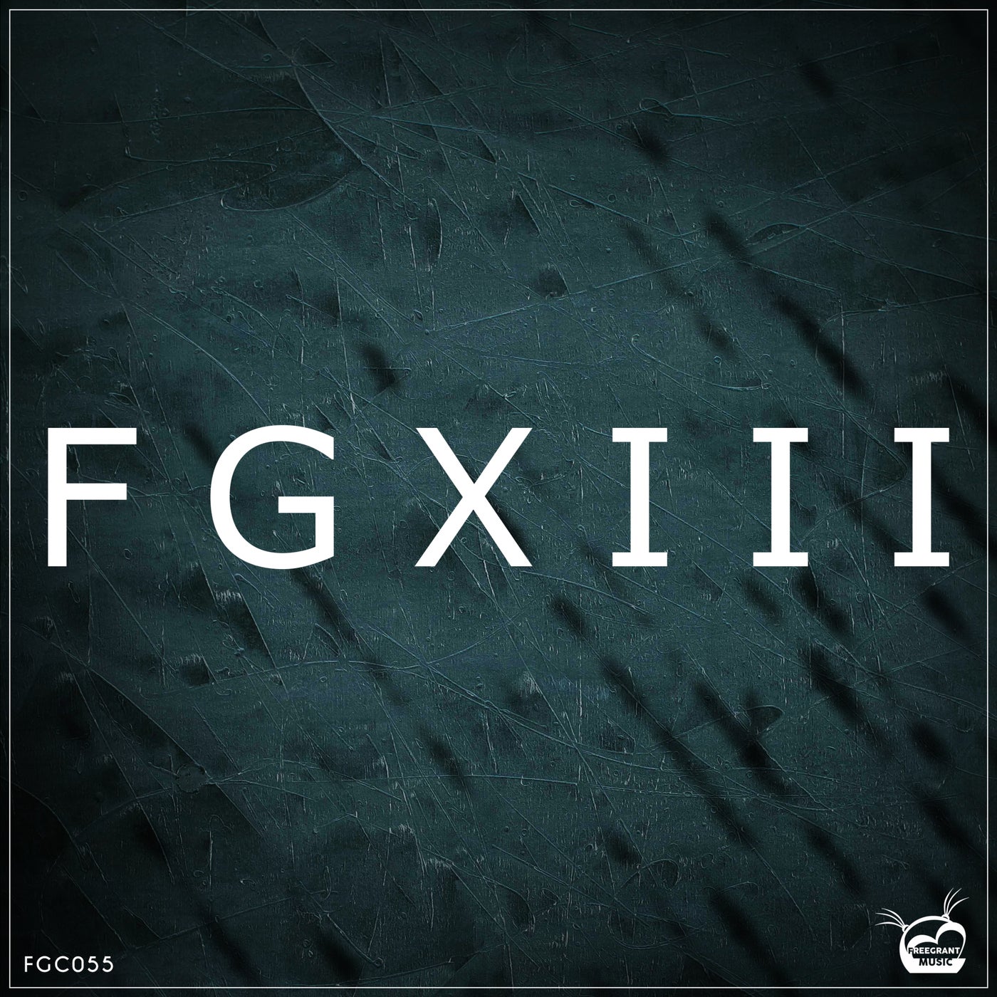 VA – FGXIII (13th Years Anniversary) FGC055