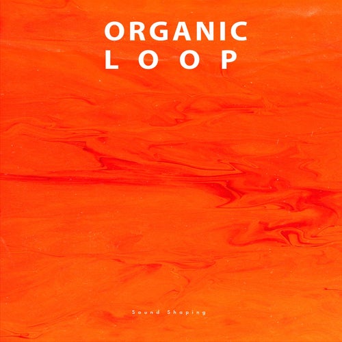 VA – Sound Shaping [Organic Loop]