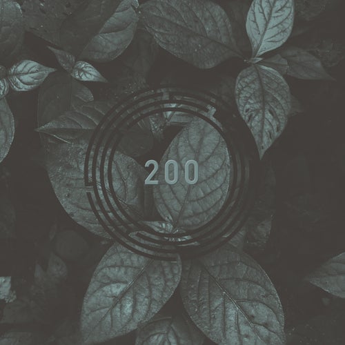 VA – RYNTH 200 RYNTH200