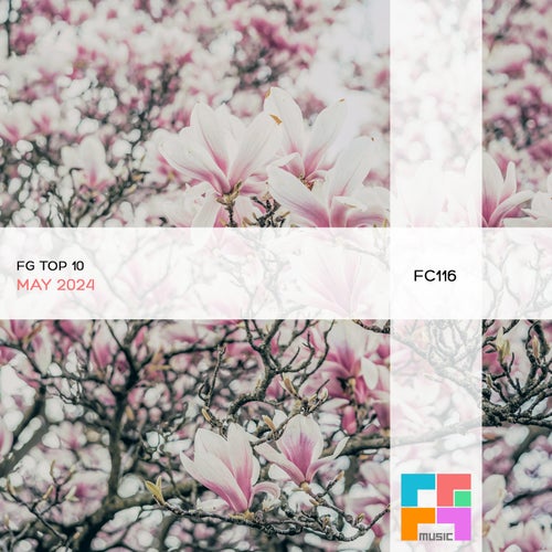VA – FG Top10  May 2024 [FGComps]