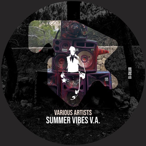 VA – Summer Vibes V. A. IBTR010