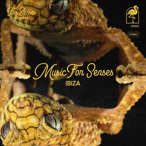 VA – Music for Senses – IBIZA 2024 [For Senses Records]