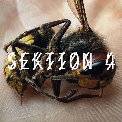 VA – SEKTION 4 [44 LABEL GROUP]
