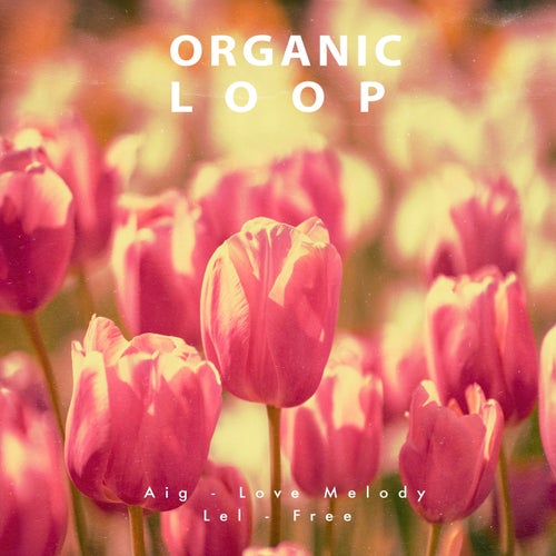 VA – Love Melody [Organic Loop]