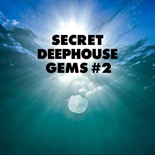 VA – Secret Deephouse Gems #2 [Tronic Soundz]