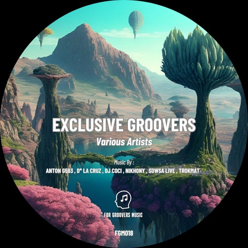 VA – Exclusive Groovers [For Groovers Music]
