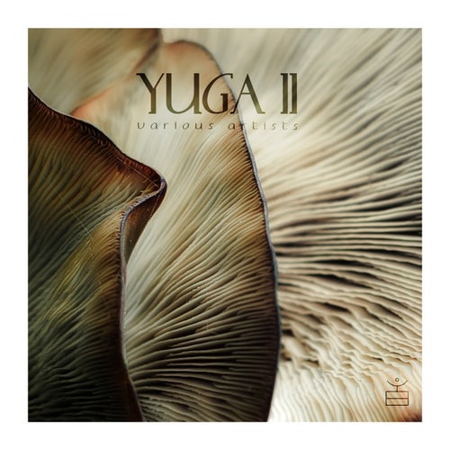 VA – Yuga II [Lasya]