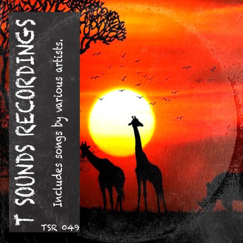 VA – T Sounds Recordings [T Sounds Recordings]