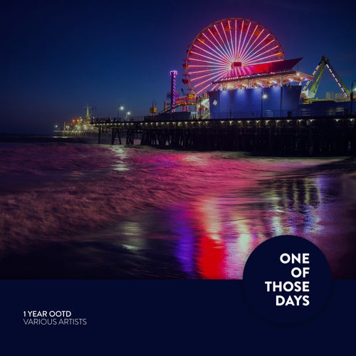 VA –  1 Year One of Those Days [One Of Those Days]