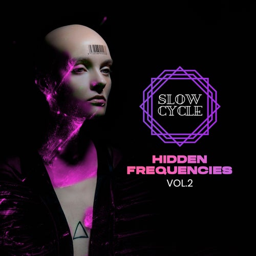 VA – Hidden Frequencies, Vol. 2 SLOW040
