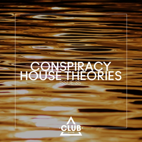 VA – Conspiracy House Theories, Issue 35 (2024)