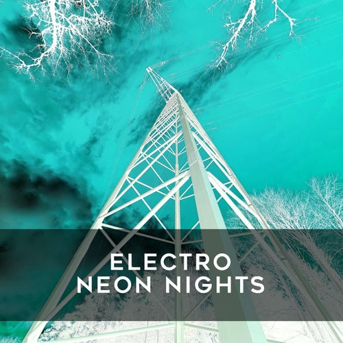 VA –  Electro Neon Nights [Avocado Mango Soup]
