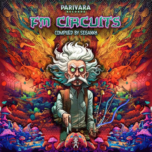 VA –  Fm Circuits [Parivara Records]