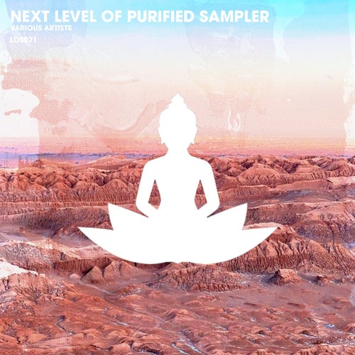 VA – Next Level of Purified Sampler [loungespirit]
