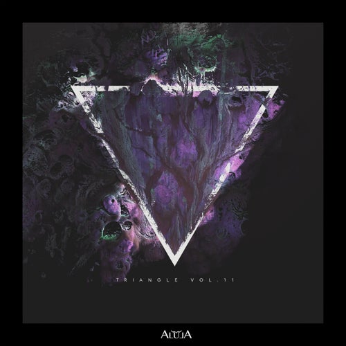 VA – Triangle, Vol. 11 ALULA249